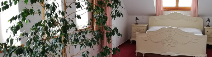 Apartmá v podkroví